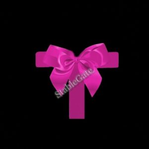 Medium Brown paper bag with branding & bow